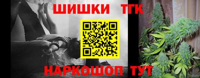 a pvp Камышлов
