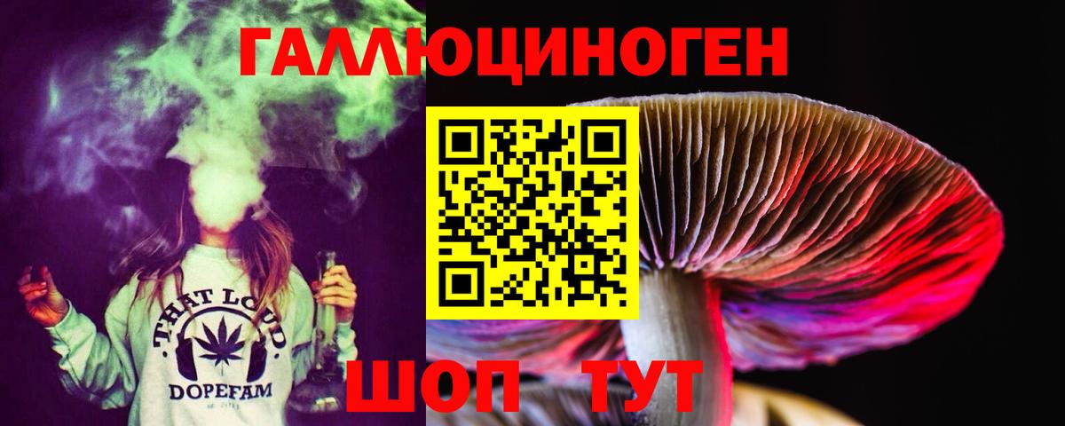 Холмск  купить закладку  Галлюциногенные грибы Psilocybine cubensis  Вход с VPN  Псилоцибиновые грибы Psilocybe 
